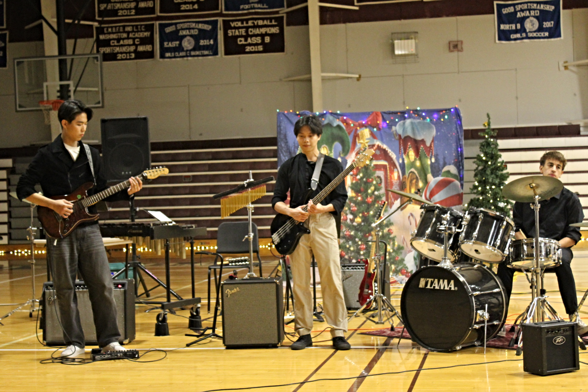 MusicConcert1.png
