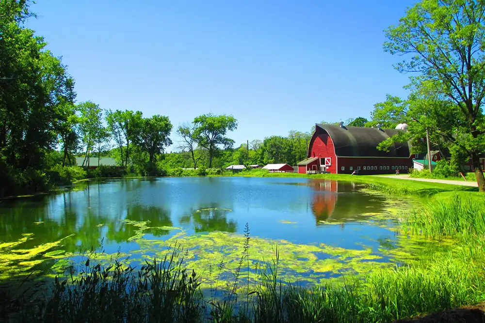 Pond Barn en verano.jpg