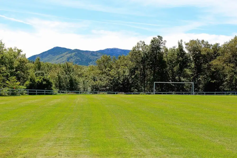 Upper Field.jpeg