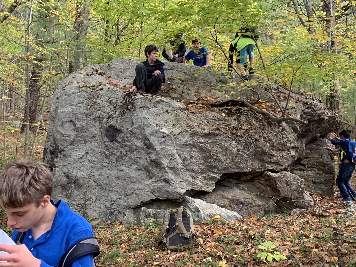 Hampshire Country School Owl Boarding School Guide